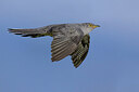 BUITEN BEELD Foto: 435816