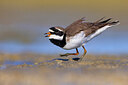 BUITEN BEELD Foto: 435852