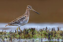 BUITEN BEELD Foto: 435860