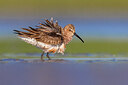 BUITEN BEELD Foto: 435879