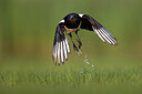 BUITEN BEELD Foto: 435916