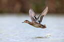 BUITEN BEELD Foto: 435959