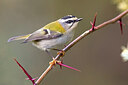 BUITEN BEELD Foto: 436004