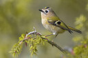BUITEN BEELD Foto: 436028