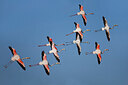 BUITEN BEELD Foto: 436039