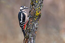 BUITEN BEELD Foto: 436058
