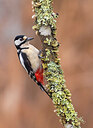 BUITEN BEELD Foto: 436071