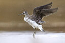 BUITEN BEELD Foto: 436082