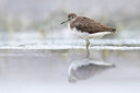 BUITEN BEELD Foto: 436083