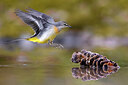 BUITEN BEELD Foto: 436107
