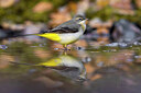 BUITEN BEELD Foto: 436112