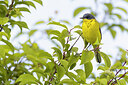 BUITEN BEELD Foto: 436127
