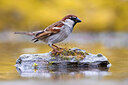 BUITEN BEELD Foto: 436132