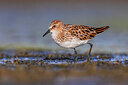 BUITEN BEELD Foto: 436202