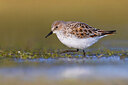 BUITEN BEELD Foto: 436204