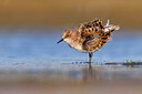 BUITEN BEELD Foto: 436206