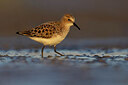 BUITEN BEELD Foto: 436211