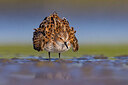 BUITEN BEELD Foto: 436212