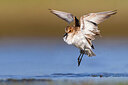 BUITEN BEELD Foto: 436216