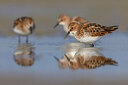 BUITEN BEELD Foto: 436218