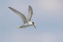 BUITEN BEELD Foto: 436225