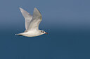 BUITEN BEELD Foto: 436238