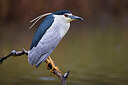 BUITEN BEELD Foto: 436252
