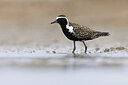 BUITEN BEELD Foto: 436277