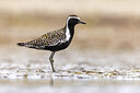 BUITEN BEELD Foto: 436278