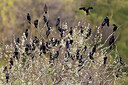 BUITEN BEELD Foto: 436299