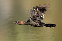 BUITEN BEELD Foto: 436304