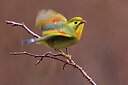 BUITEN BEELD Foto: 436318