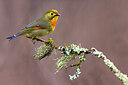 BUITEN BEELD Foto: 436321