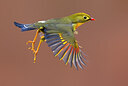 BUITEN BEELD Foto: 436326