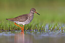 BUITEN BEELD Foto: 436336