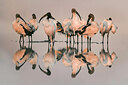 BUITEN BEELD Foto: 436348