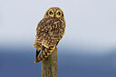 BUITEN BEELD Foto: 436362