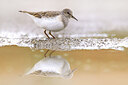 BUITEN BEELD Foto: 436395