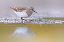 BUITEN BEELD Foto: 436397