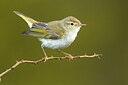 BUITEN BEELD Foto: 436415