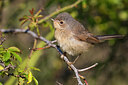 BUITEN BEELD Foto: 436416