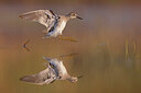 BUITEN BEELD Foto: 436439