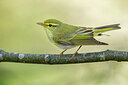BUITEN BEELD Foto: 436450