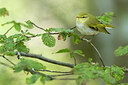 BUITEN BEELD Foto: 436452