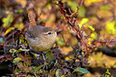 BUITEN BEELD Foto: 436457