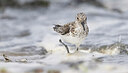BUITEN BEELD Foto: 436492