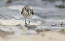 BUITEN BEELD Foto: 436493
