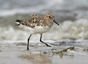 BUITEN BEELD Foto: 436494
