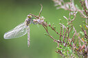 BUITEN BEELD Foto: 436501