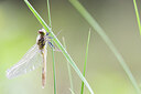 BUITEN BEELD Foto: 436503